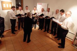 Razstava Vitez Adam Ravbar s Krumperka 5